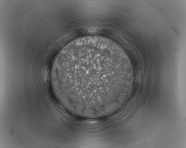 X0000113570651200910161519