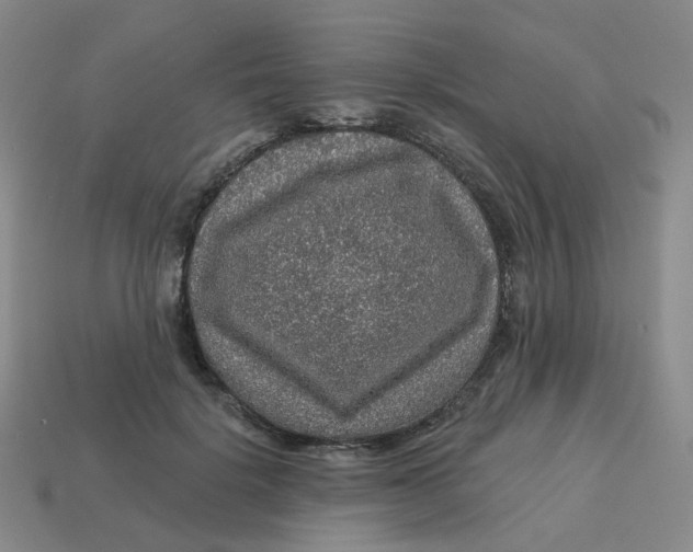 X0000113570652200910161519