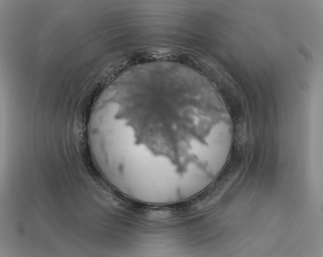 X0000113570653200910161519