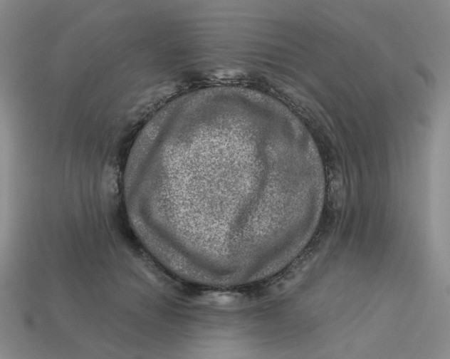 X0000113570654200910161519