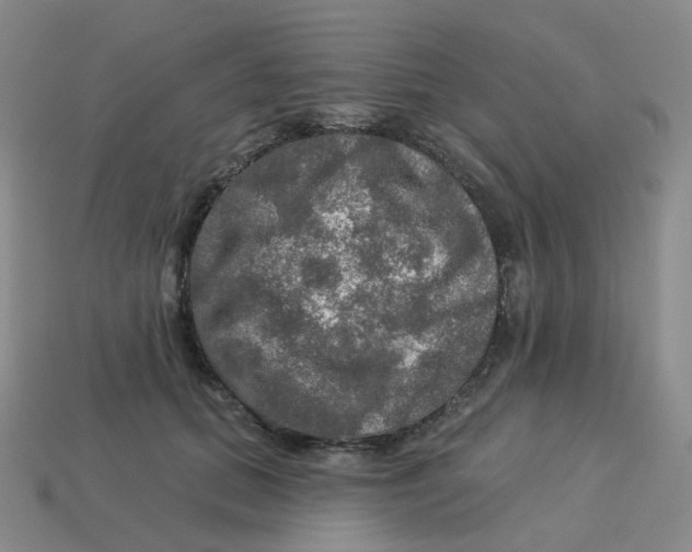 X0000113570655200910161519