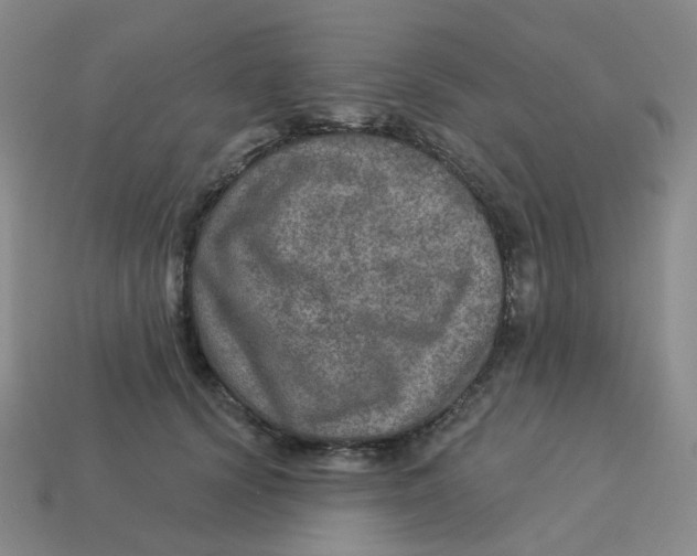 X0000113570656200910161519