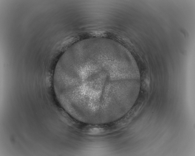 X0000113570658200910161519