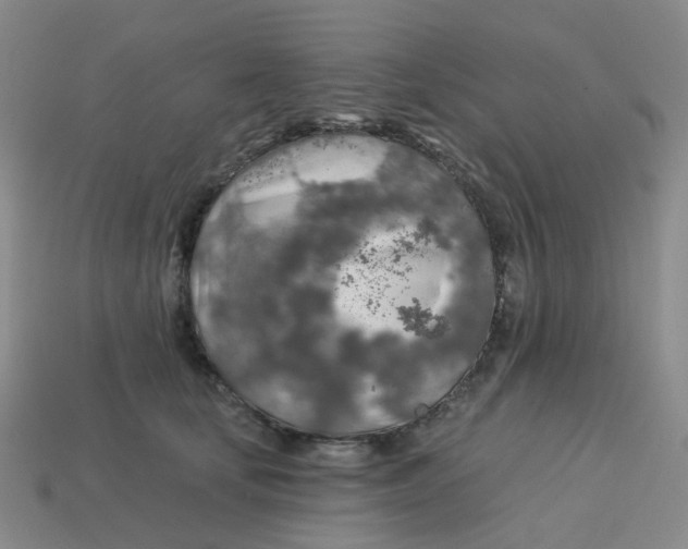 X0000113570659200910161519