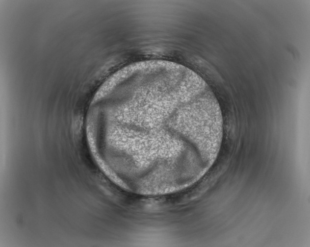 X0000113570660200910161519