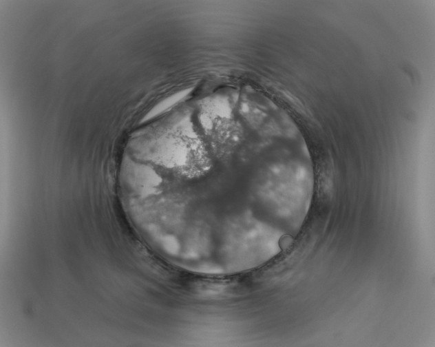 X0000113570661200910161519