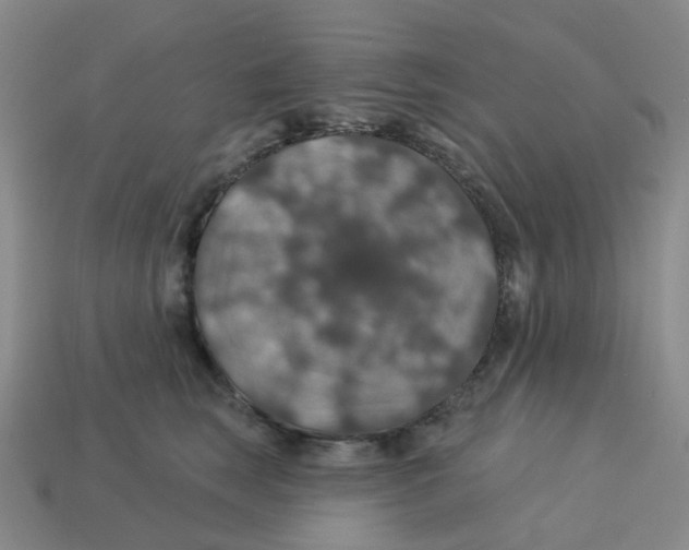 X0000113570663200910161519