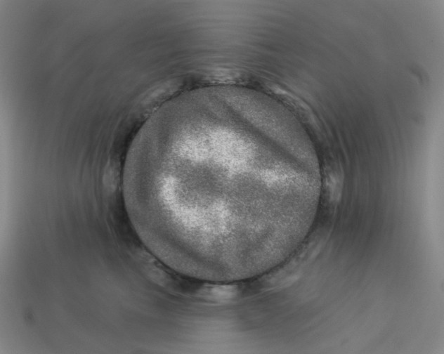 X0000113570665200910161519