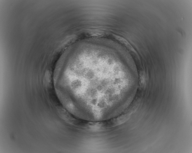 X0000113570667200910161519