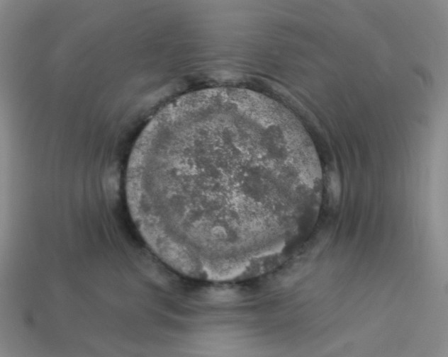 X0000113570668200910161519