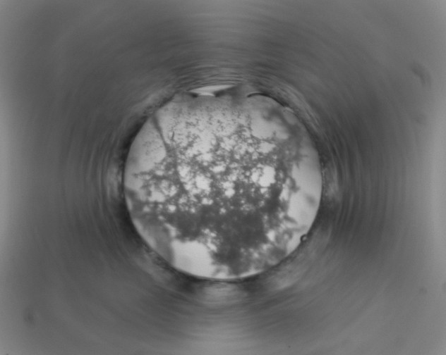 X0000113570669200910161519