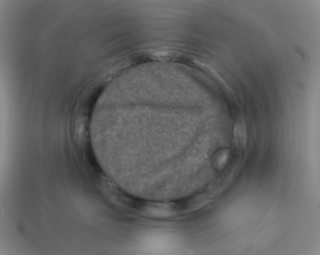 X0000113570671200910161519