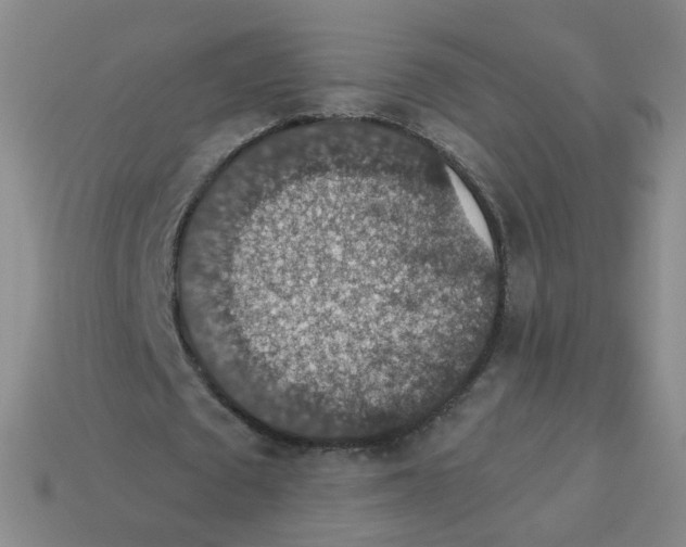 X0000113570673200910161519