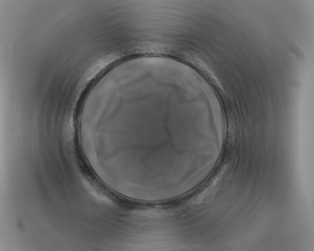 X0000113570674200910161519