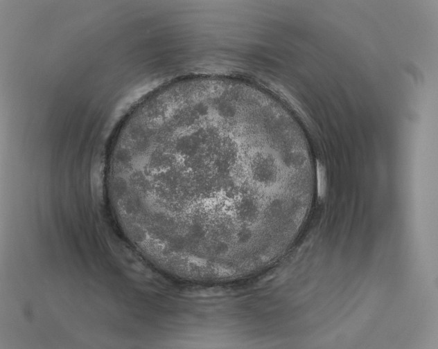 X0000113570675200910161519