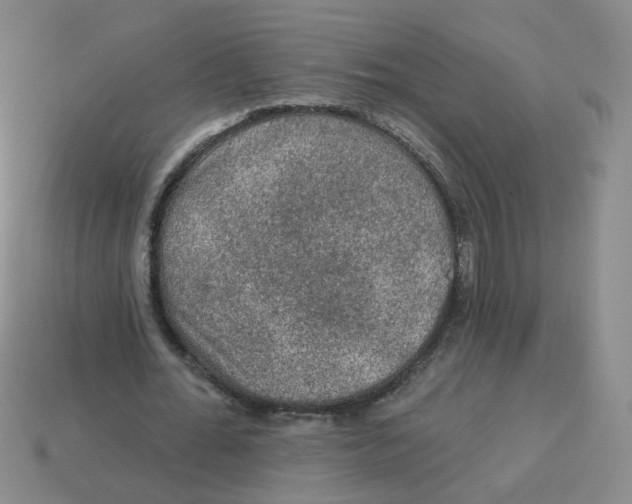 X0000113570676200910161519