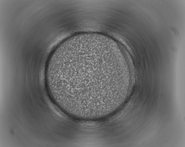 X0000113570677200910161518