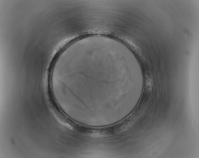 X0000113570678200910161518