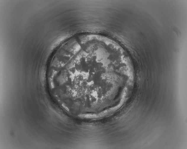 X0000113570679200910161518