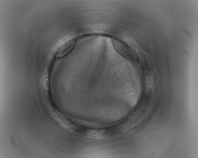 X0000113570680200910161518