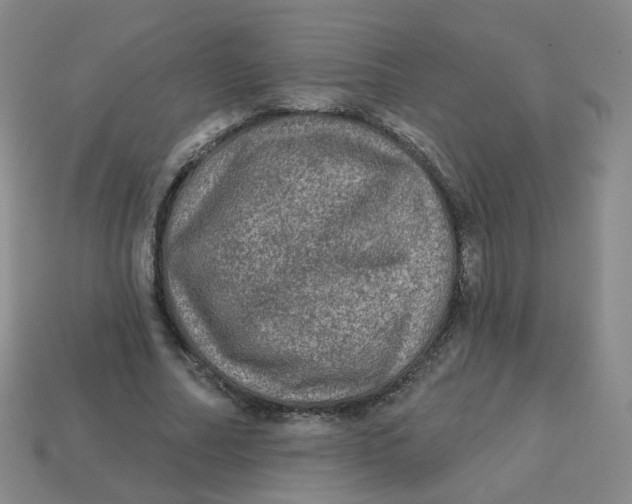 X0000113570682200910161518