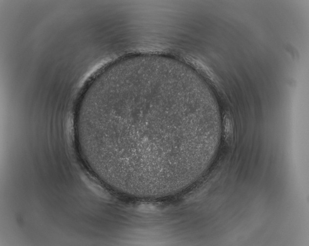 X0000113570684200910161518