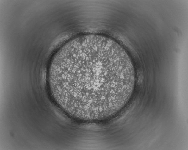 X0000113570685200910161518