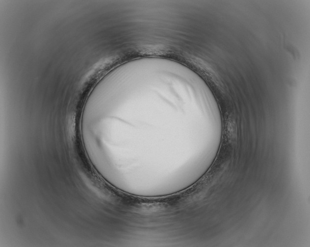 X0000113570686200910161518