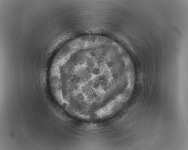 X0000113570687200910161518