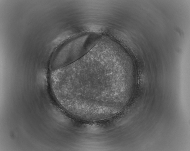 X0000113570688200910161518