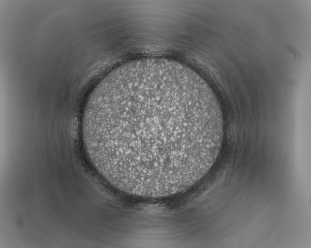 X0000113570689200910161518