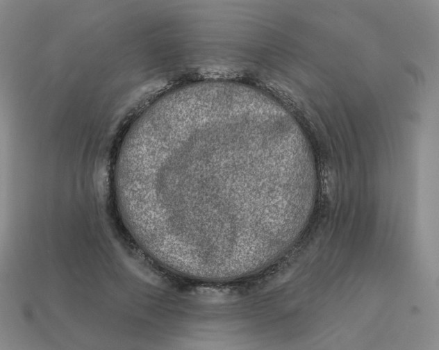 X0000113570690200910161518