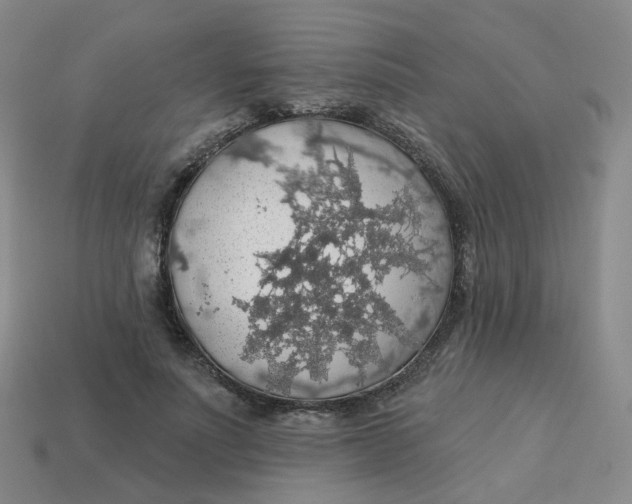 X0000113570691200910161518