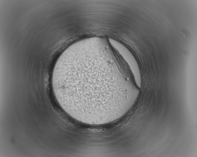 X0000113570693200910161518