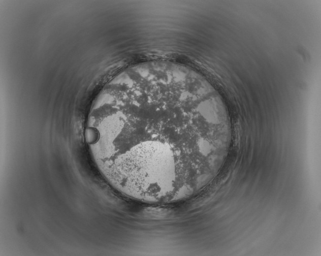 X0000113570699200910161518