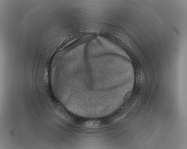 X0000113570700200910161518