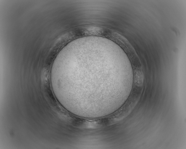 X0000113570701200910161518