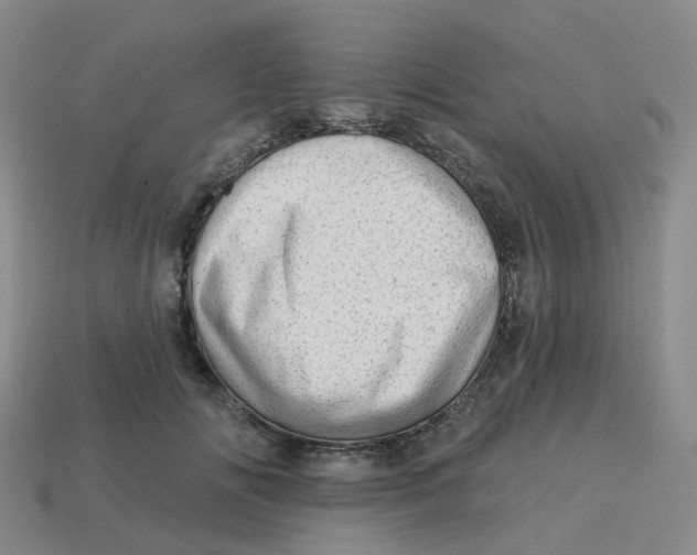 X0000113570702200910161518