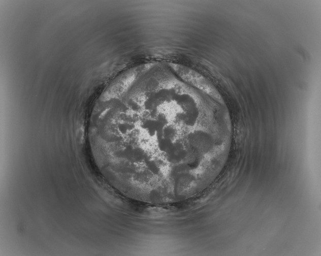 X0000113570703200910161518