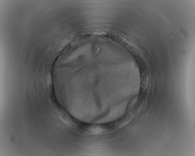 X0000113570704200910161518