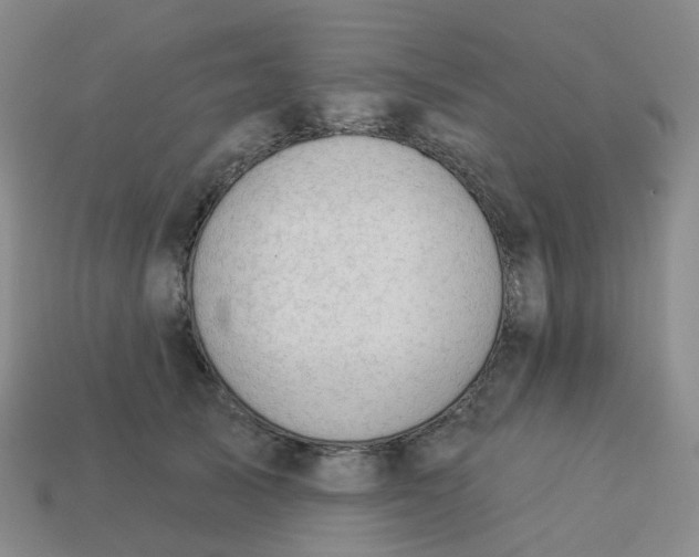 X0000113570705200910161518