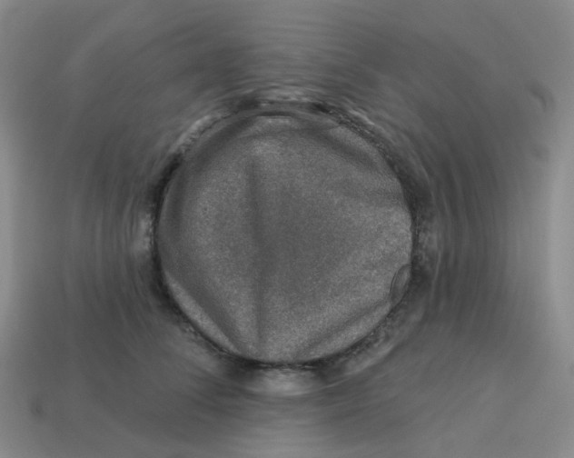 X0000113570708200910161518