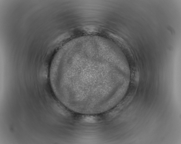 X0000113570710200910161518