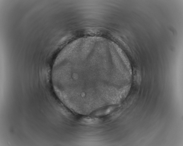 X0000113570712200910161518