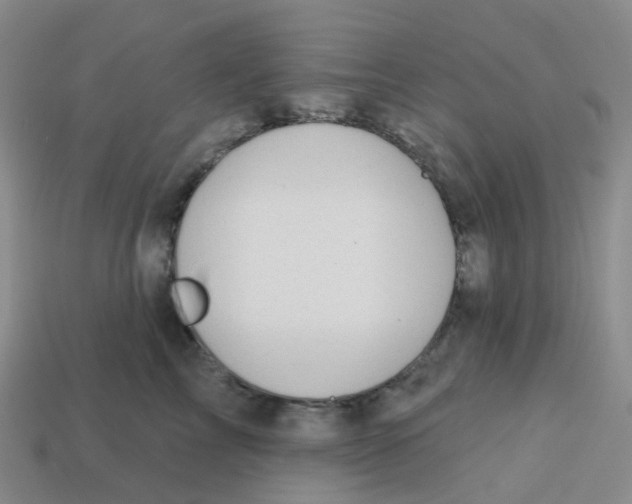 X0000113570713200910161518