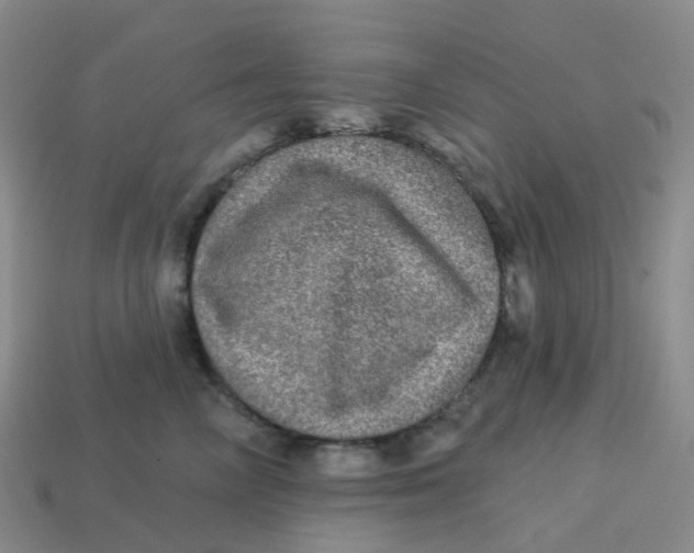 X0000113570714200910161518