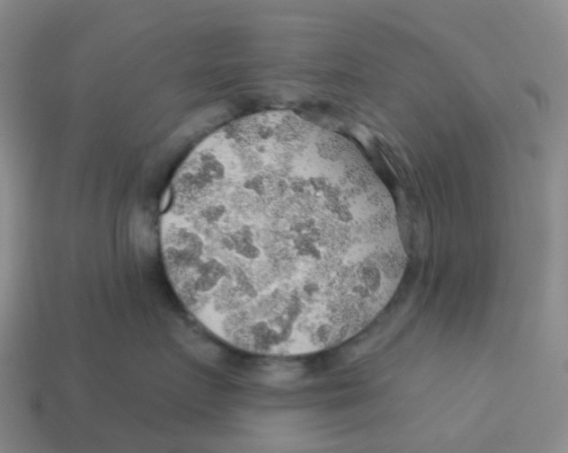 X0000113570719200910161518