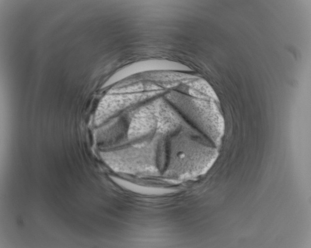 X0000113570720200910161518