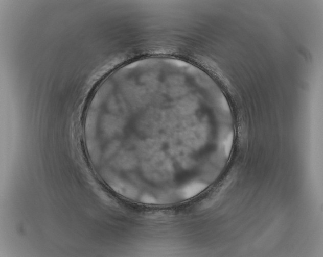 X0000113570721200910161517