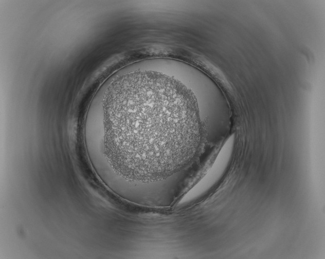 X0000113570722200910161517